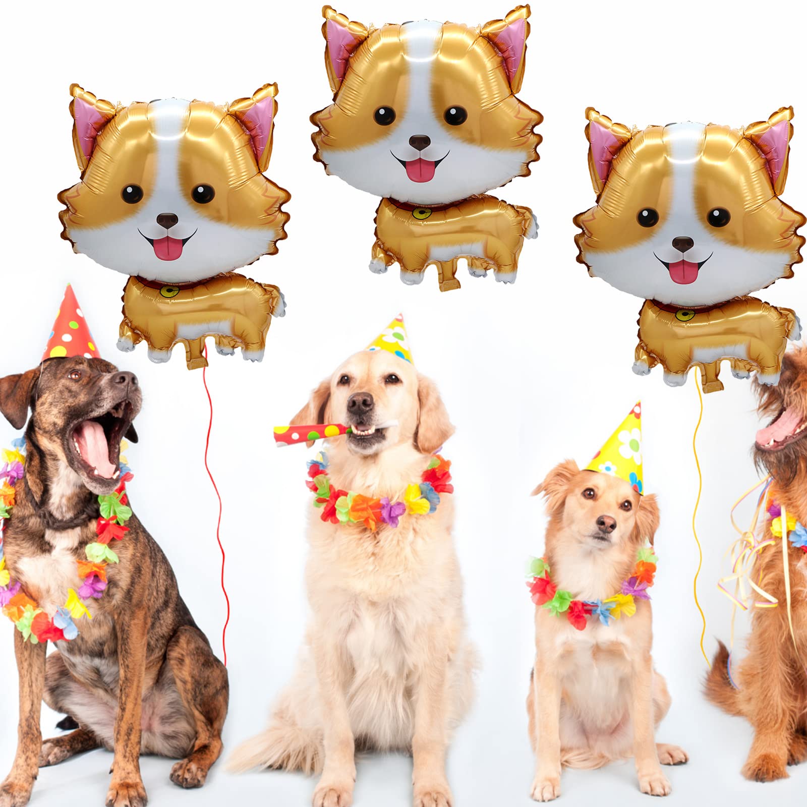 5 Stück Haustier-Hunde-Luftbal – Let'S Party Event Supply Bewertung und Preis