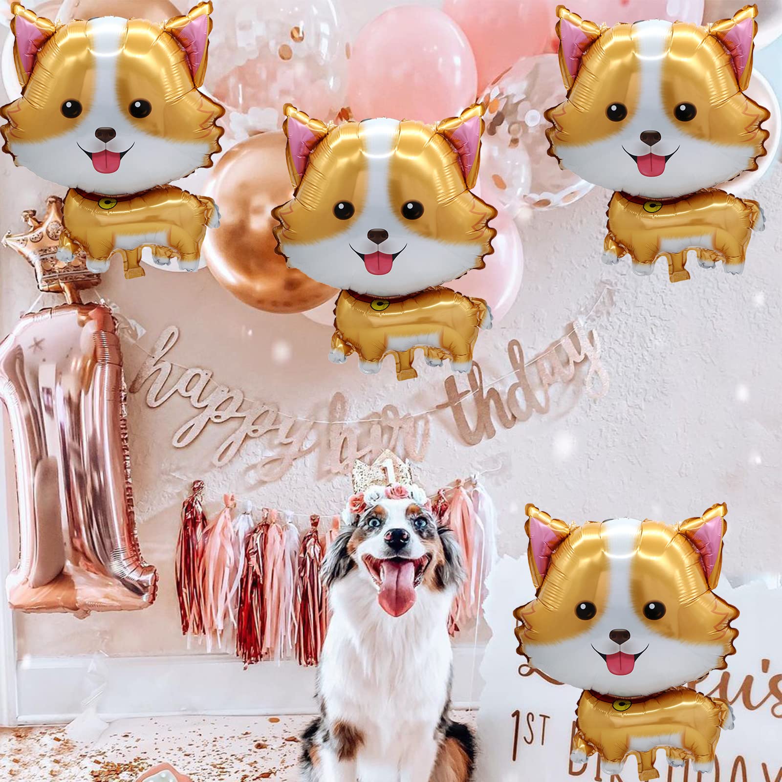 5 Stück Haustier-Hunde-Luftbal – Let'S Party Event Supply Bewertung und Preis