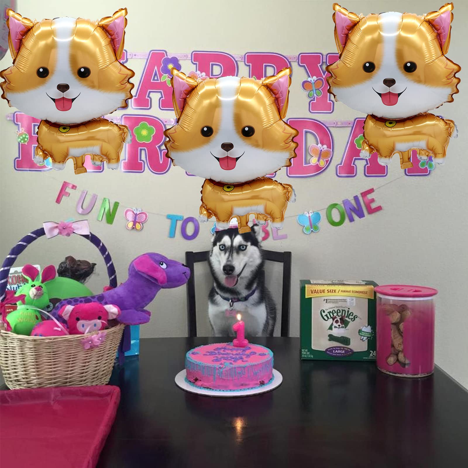 5 Stück Haustier-Hunde-Luftbal – Let'S Party Event Supply Bewertung und Preis